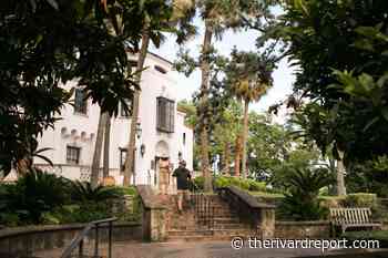 McNay to Curate San Antonio Arts Community's Pandemic Experiences - Rivard Report