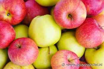 Waarom je beter een rode dan een groene appel kunt eten