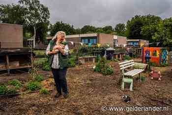 De dader van de kippenroof bij Sunflowers Ranch is bekend: het is een vos