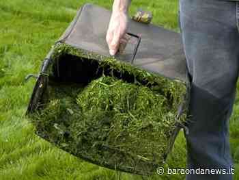 Ritiro ingombranti e sfalci d'erba: il comitato di zona di Marina di Cerveteri scrive al comune - BaraondaNews