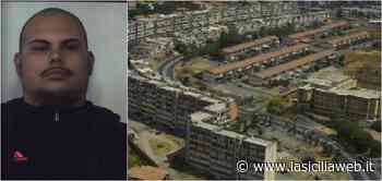 Spacciava "erba" protetto dalle vedette | lasiciliaweb - lasiciliaweb | Notizie di Sicilia