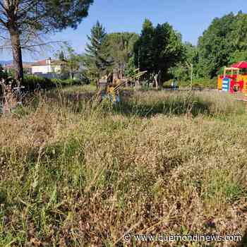 Erba alta nel verde attrezzato di Castel Ritaldi, la denuncia social del Consigliere Comunale - Due Mondi News