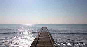 Una raccolta fondi per organizzare una mostra fotografica di artisti in erba. - Oggi Treviso