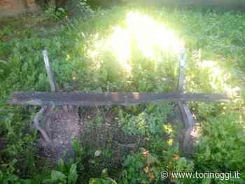 Panchine rotte, voragini ed erba alta: in corso Potenza l’area verde abbandonata - TorinOggi.it