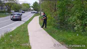 Cops caught on camera helping baby deer cross the street