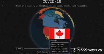 Calgary student builds website with 3D view of global COVID-19 cases, spread