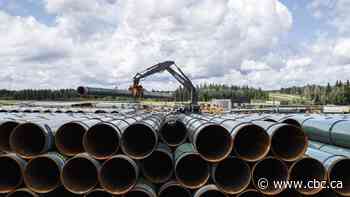 Limits on gatherings make it a 'great time to be building a pipeline,' says Alberta energy minister