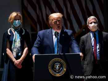 Dr. Birx said there's 'clear scientific evidence' masks help, but she assumes Trump doesn't wear one because he's 'able to maintain' social distancing