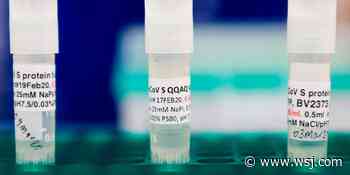 Novavax Coronavirus Vaccine Begins Human Testing - The Wall Street Journal
