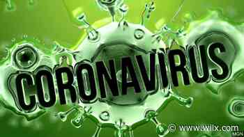 State officials announce 12 new coronavirus deaths - WILX-TV