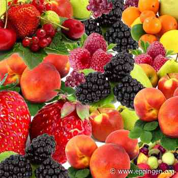 ▷ Fruchtig Frisch: Dieses Obst hat Saison - Eppingen.org