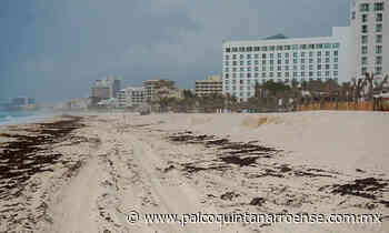 ¡Números rojos! #Cancun agoniza en hotelería y operación aérea - Palco Quintanarroense