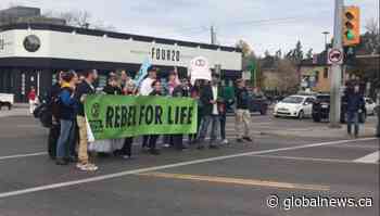 COVID-19 restrictions on mass gatherings make it a ‘great time’ to build a pipeline: Alberta energy minister