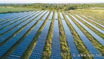 UK's largest solar farm expected to be approved