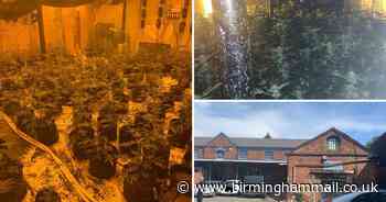 Massive £300,000 cannabis factory shutdown after police raid