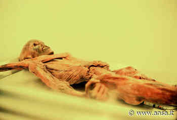 Ötzi e l'Uomo di Altamura a confronto - Agenzia ANSA