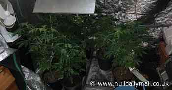 Police arrest man after discovering 'indoor garden'