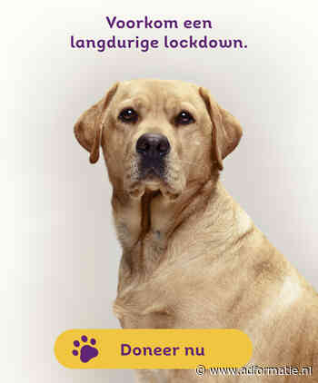 KNGF Geleidehonden lanceert donatiecampagne ‘Lockdown’ 