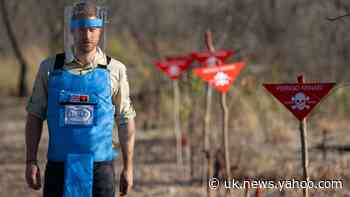 Harry praises work of landmine clearance charity supported by Diana