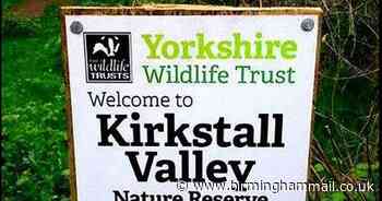Fury over illegal rave as 200 people gather in nature reserve