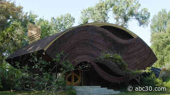 This hidden house in the forest is turning heads!
