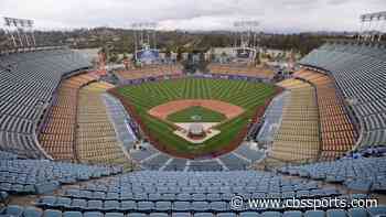 Fan builds mini Dodger Stadium in backyard, complete with welcome sign and retired numbers
