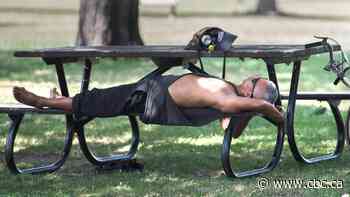 In the middle of a pandemic, a new challenge — protecting Montreal's most vulnerable from the heat