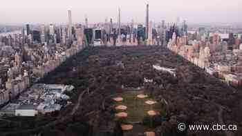 NYC mayor slams white woman who called police on black man over dog leash dispute