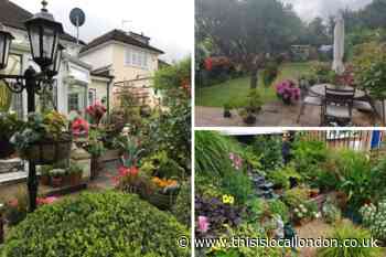Greenwich in Bloom gardening contest returns this June