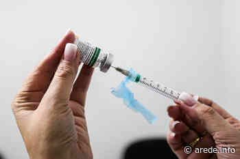 Professores são vacinados contra a gripe em Palmeira - ARede