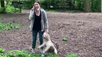 White woman who called police on a black man bird-watching in Central Park has been fired