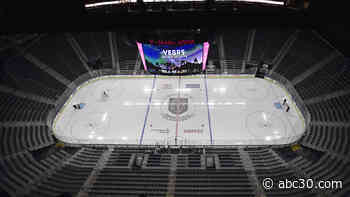NHL adopts 24-team playoff format if it can resume season