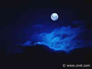 Melatonin: Is it safe, does it work and other FAQs     - CNET