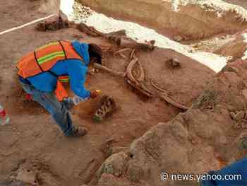 Bones of approximately 60 mammoths discovered in Mexico