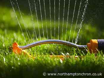Gardens in Northampton are some of the smallest in the East Midlands, ONS research shows - Northampton Chronicle and Echo