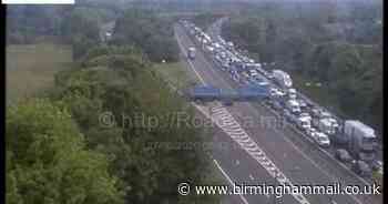 Live updates - Major M5 delays after dog loose on carriageway
