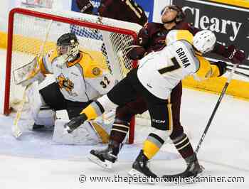 Former Peterborough Pete Nick Grima to play for University of Toronto Blues - ThePeterboroughExaminer.com