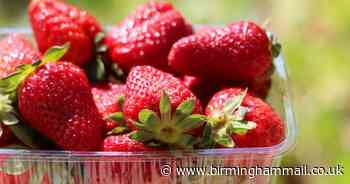 Fruit farm's strawberry drive-thru has This Morning fans saying same thing
