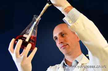 University of York scientists make cancer breakthrough