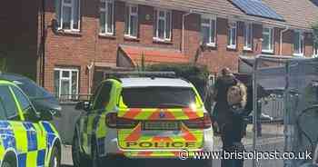 Armed police called to south Bristol - man arrested