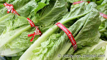 Pittsburgh Public Schools Providing Fresh Produce To Its Families