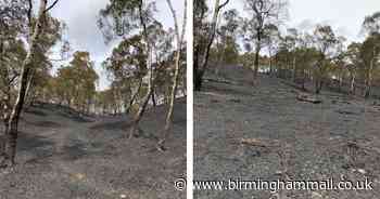 Pictures show devastating aftermath of fire that ripped through Cannock Chase