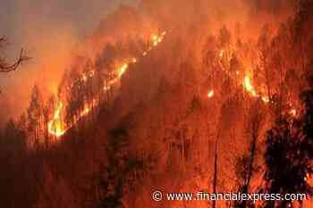 Uttarkhand wildfire: Sporadic forest fires trigger trending hashtag on social media