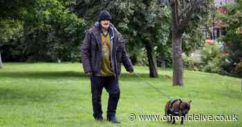 How your dog walk can support the homeless and dogs through coronavirus lockdown