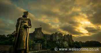 The incredibly lifelike reconstruction of the face of Welsh King Henry VII