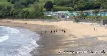Police send two home after they travelled from England to Gower to surf