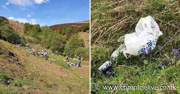 Police called as crowds leave 'appalling' mess at beauty spot