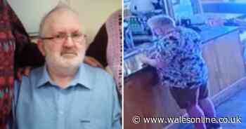 Body of missing man found on mountainside five months after he was last seen