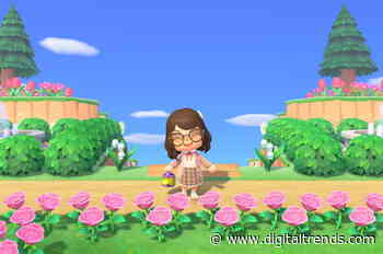 How to get a 5-star island in Animal Crossing: New Horizons