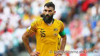 Jedinak at crossroads as coaching career beckons - The World Game
